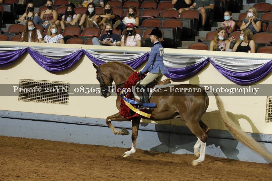 Proof 20YN_08565