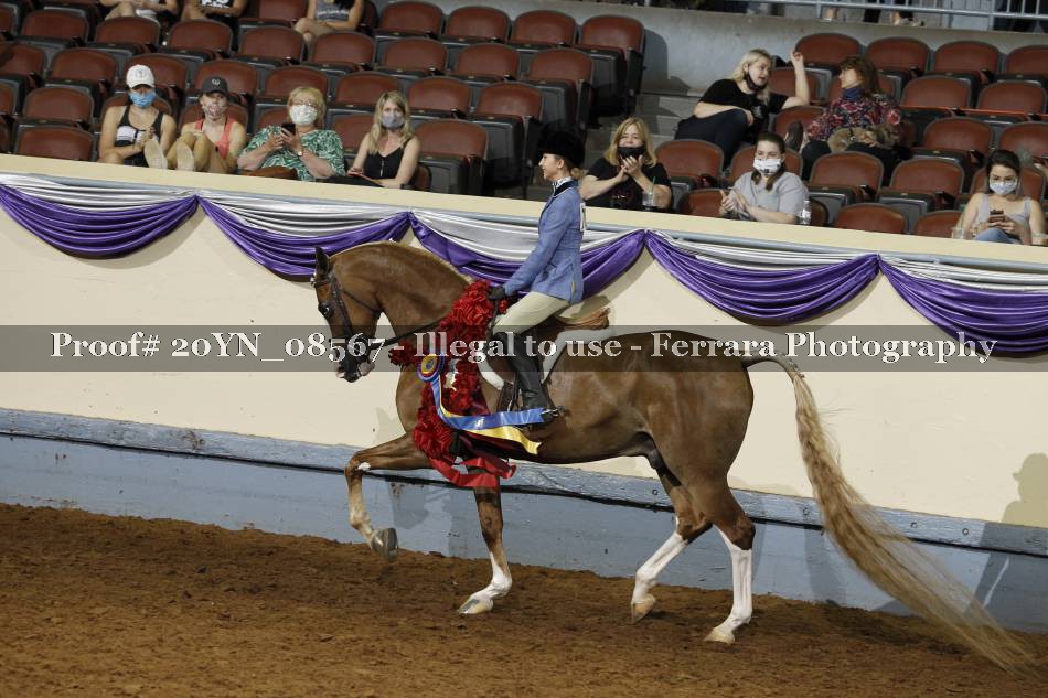 Proof 20YN_08567