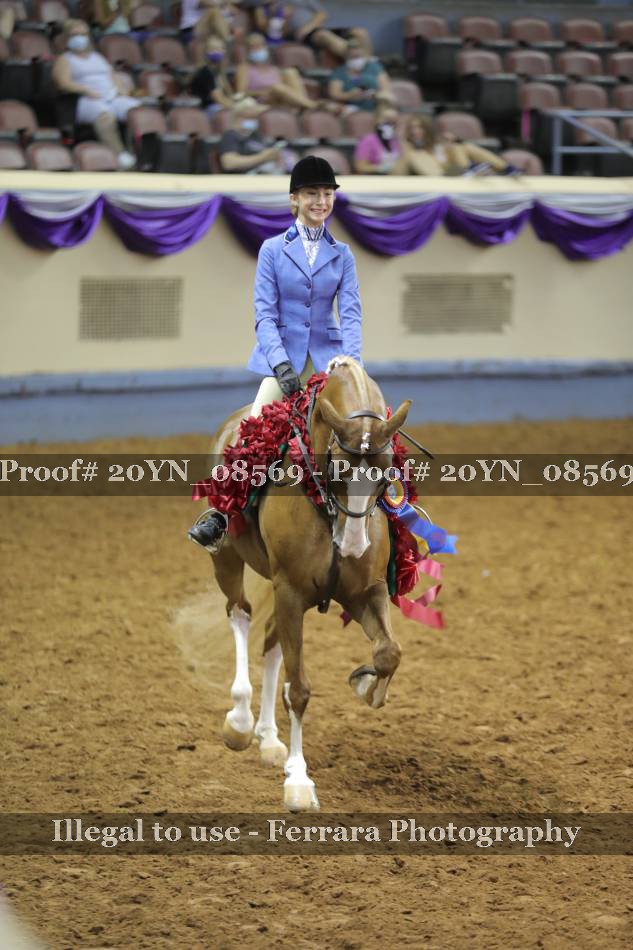 Proof 20YN_08569