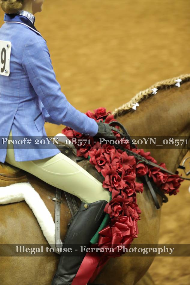 Proof 20YN_08571
