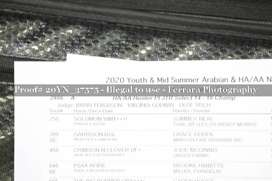 Proof 20YN_37575