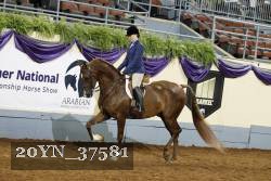 20YN_37581 proof