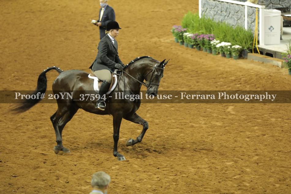 Proof 20YN_37594
