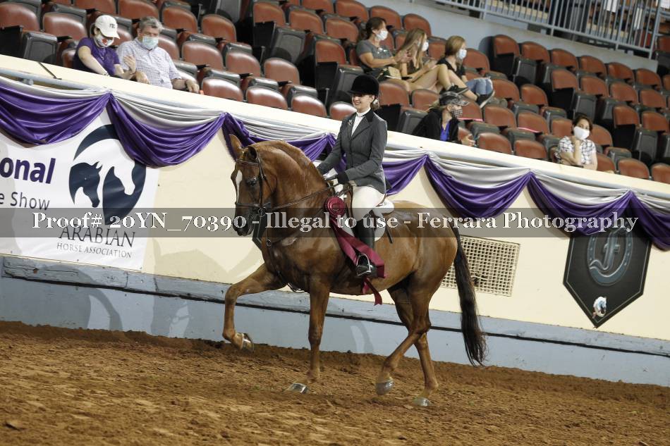 Proof 20YN_70390
