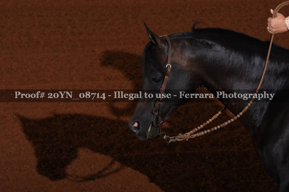Proof 20YN_08714