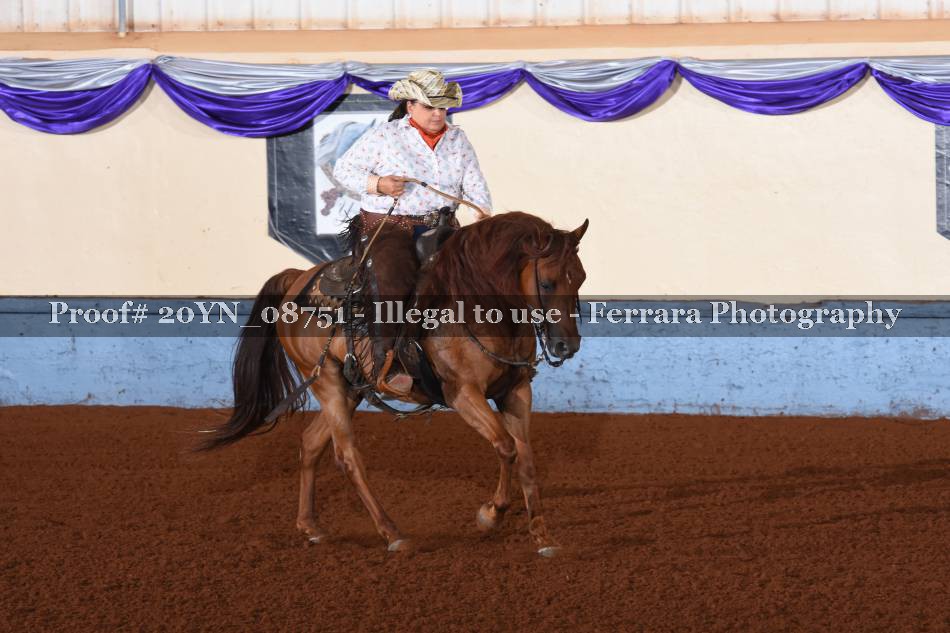 Proof 20YN_08751