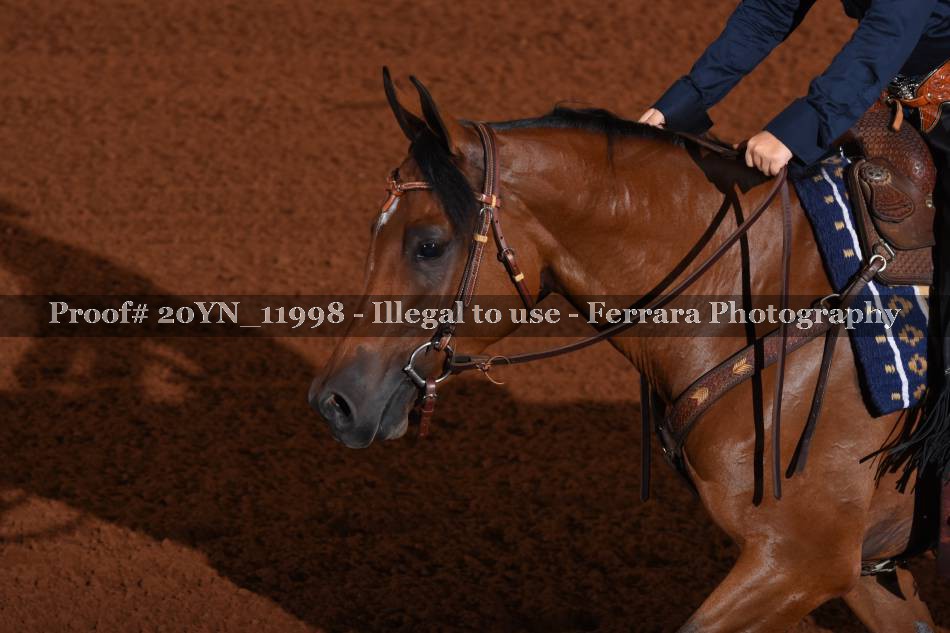 Proof 20YN_11998