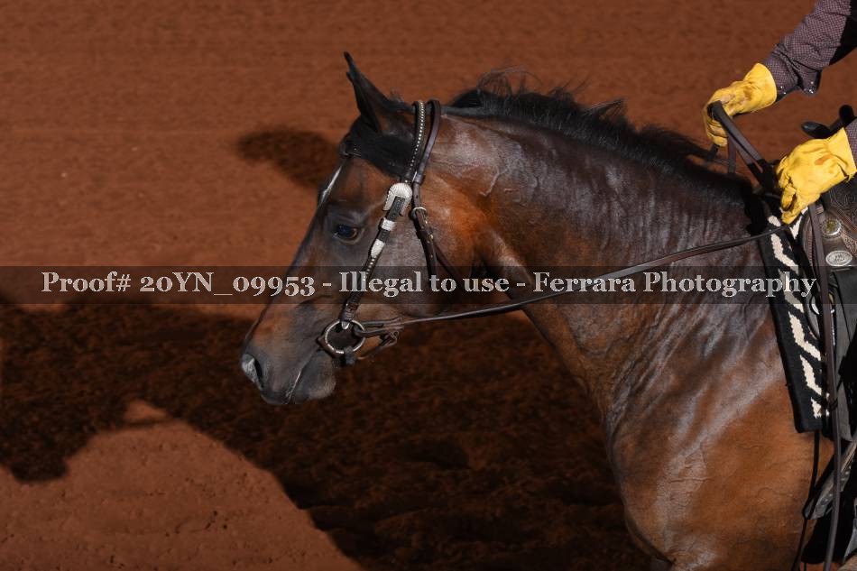 Proof 20YN_09953