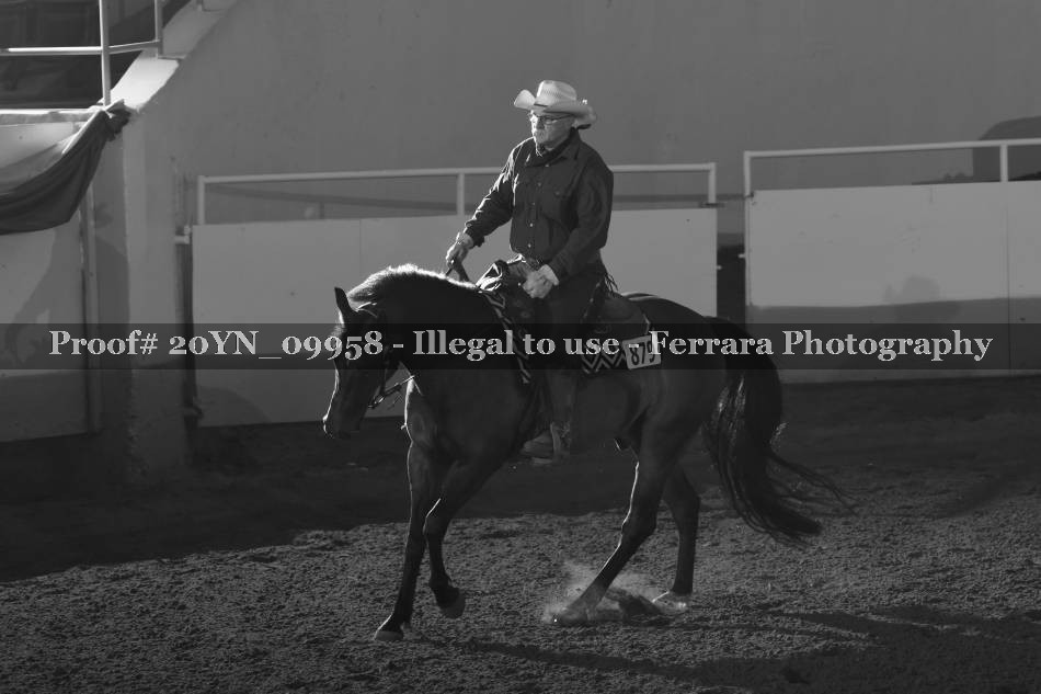 Proof 20YN_09958