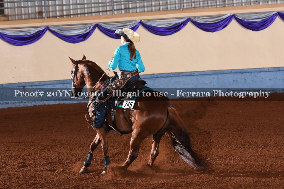 Proof 20YN_09961
