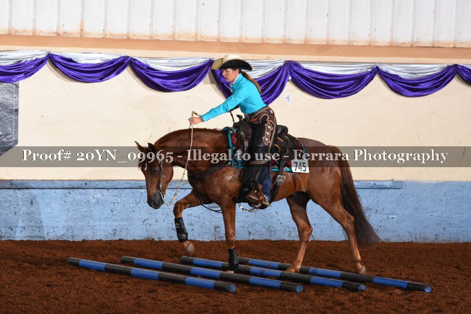Proof 20YN_09965