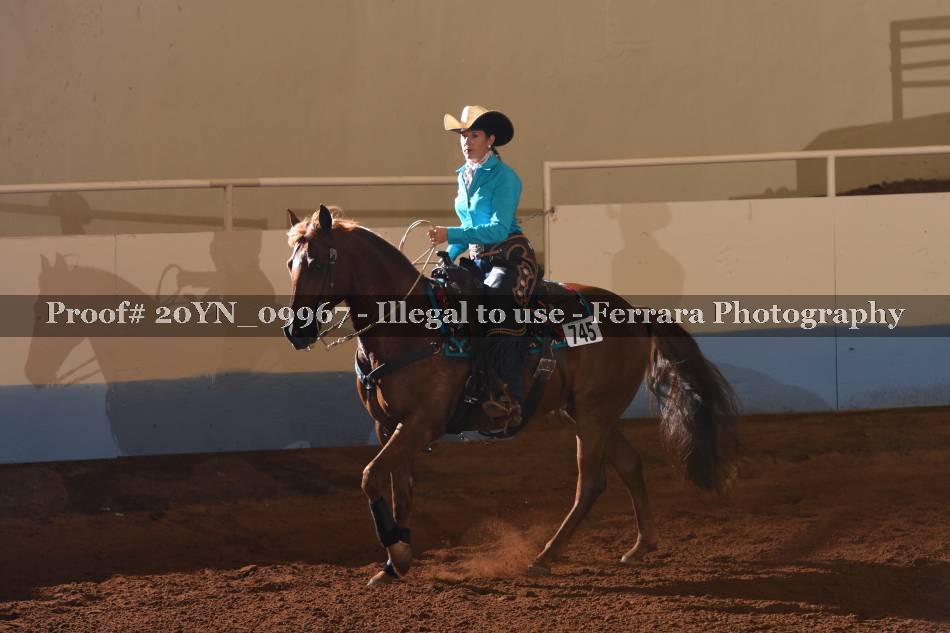 Proof 20YN_09967