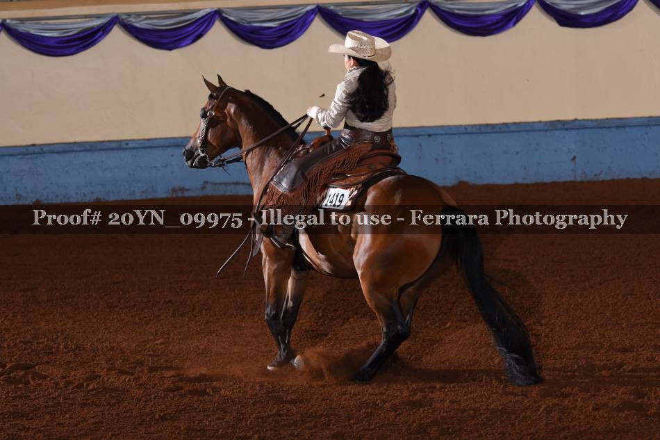 Proof 20YN_09975