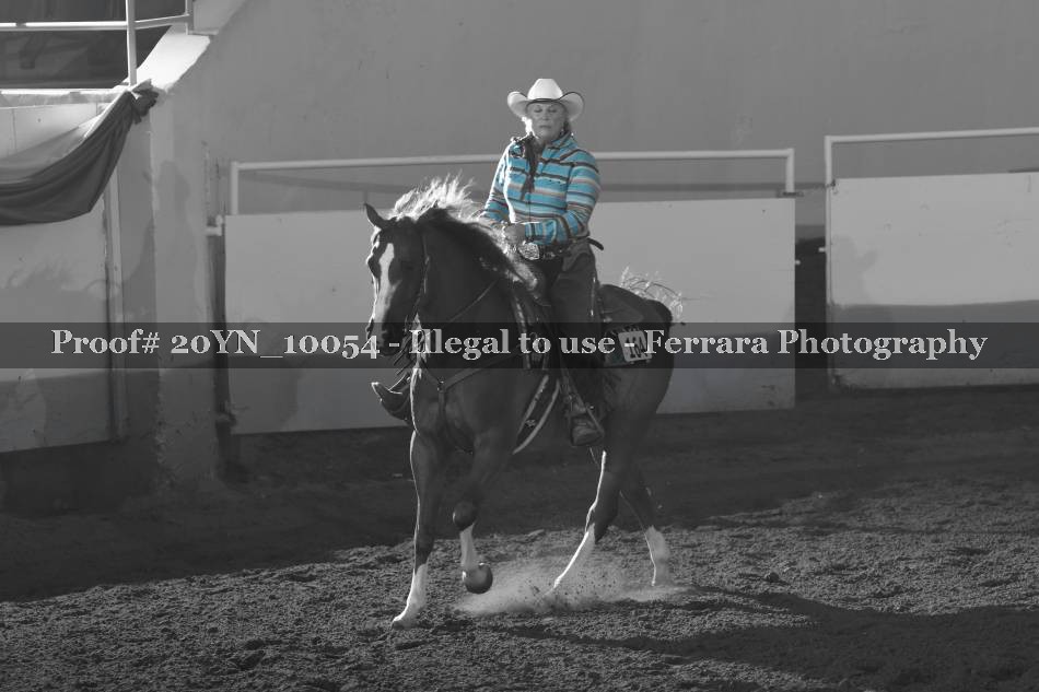 Proof 20YN_10054