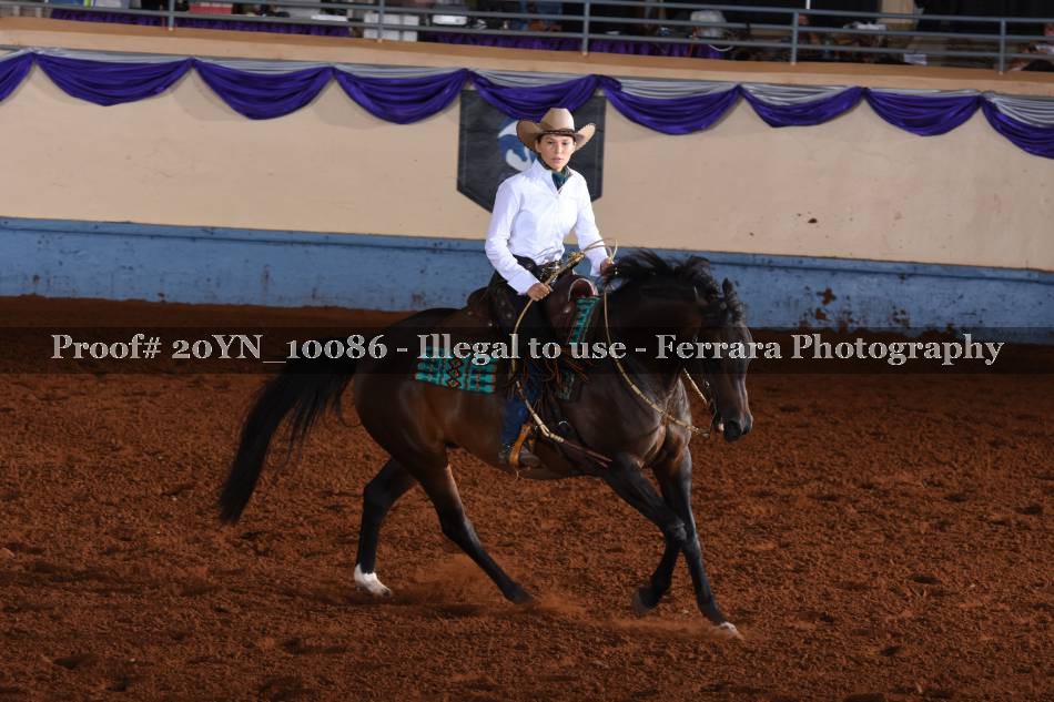 Proof 20YN_10086