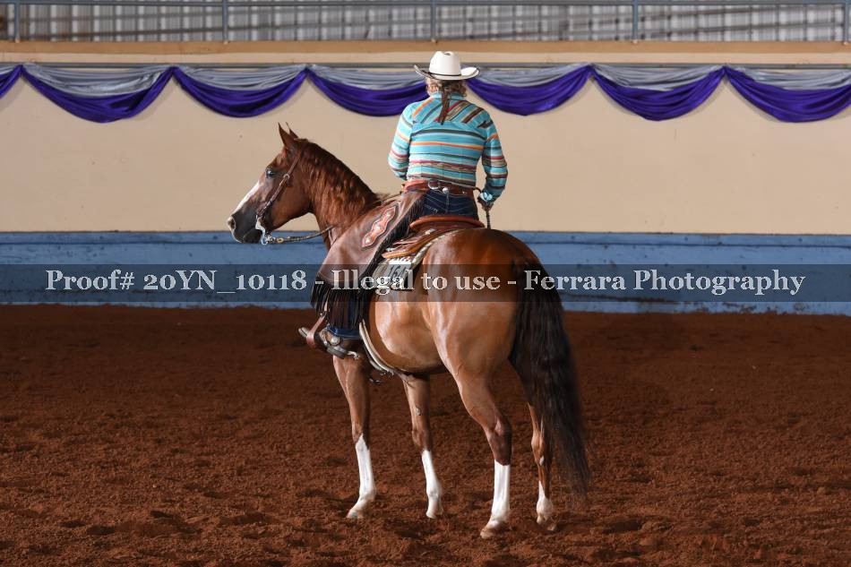 Proof 20YN_10118