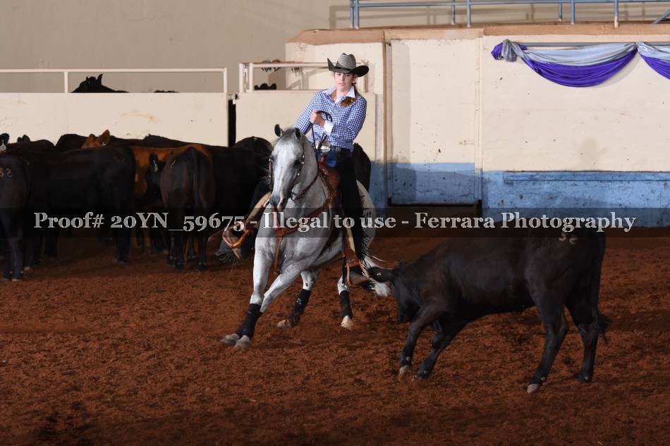 Proof 20YN_59675