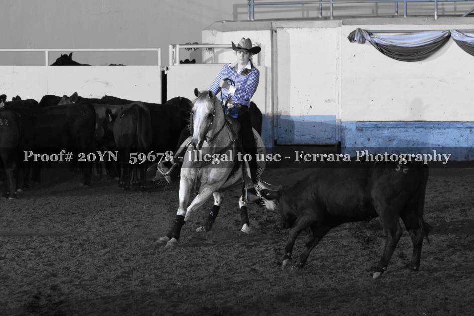 Proof 20YN_59678