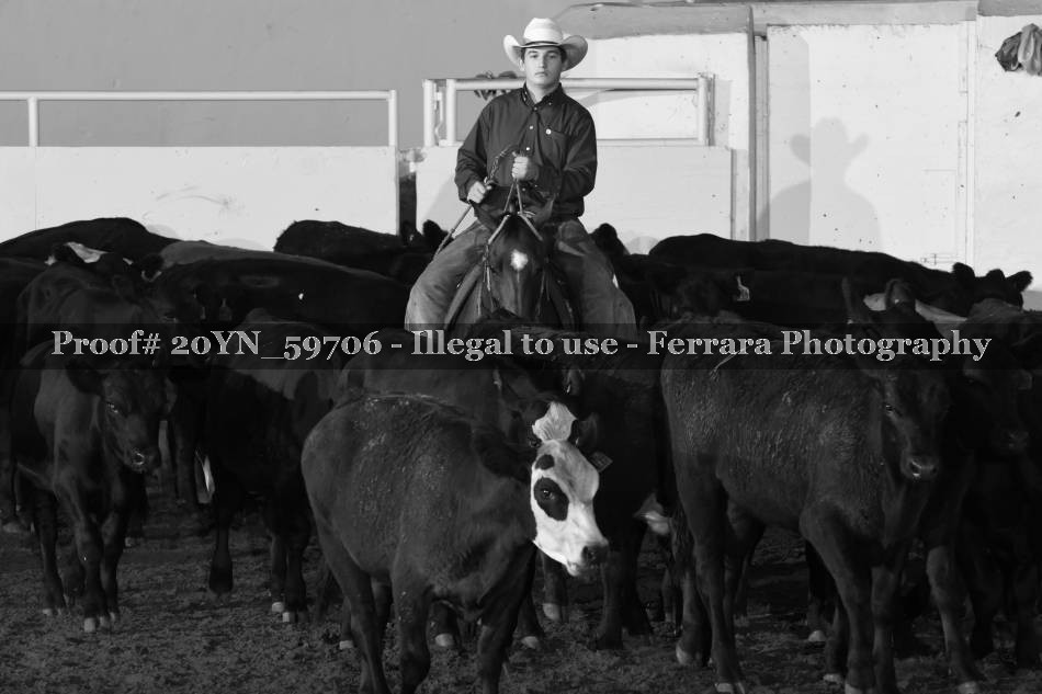 Proof 20YN_59706