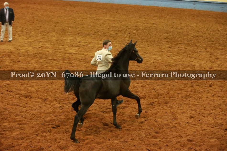 Proof 20YN_67086