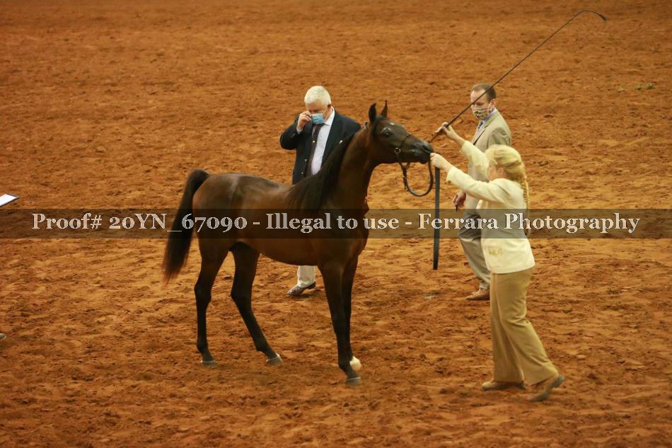 Proof 20YN_67090