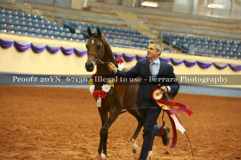 Proof 20YN_67136