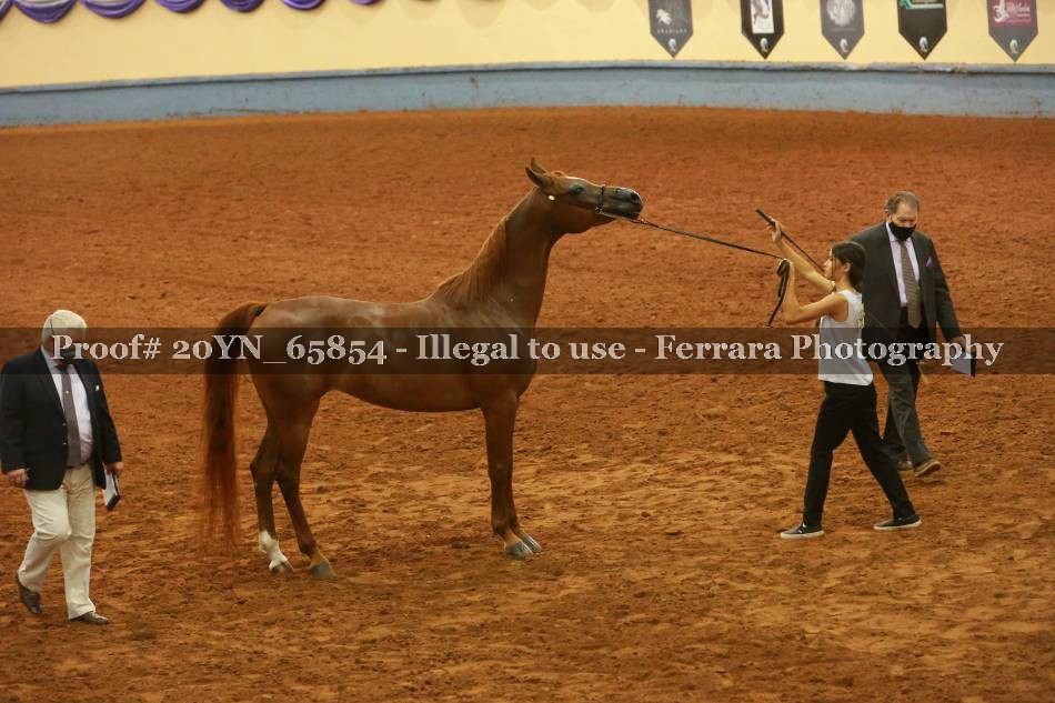Proof 20YN_65854