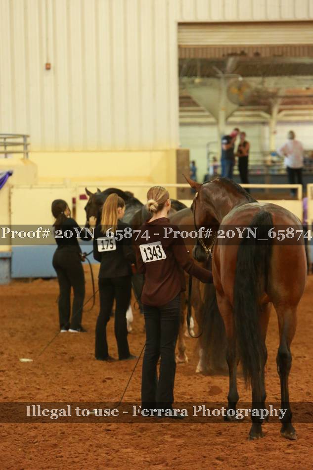 Proof 20YN_65874