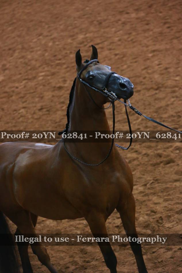 Proof 20YN_62841