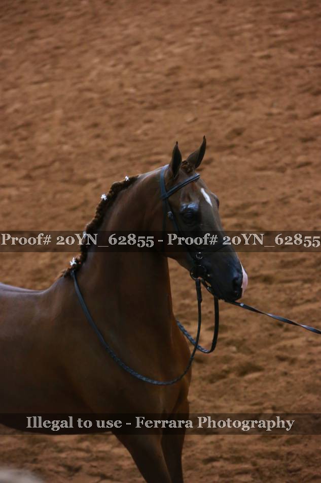 Proof 20YN_62855