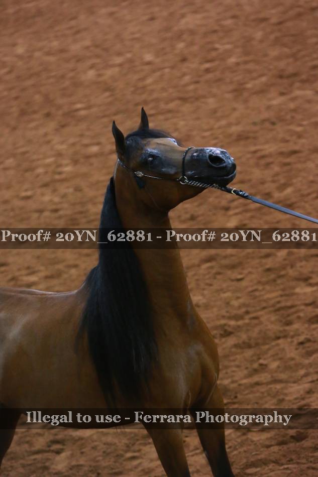 Proof 20YN_62881