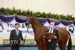 20YN_63079 proof