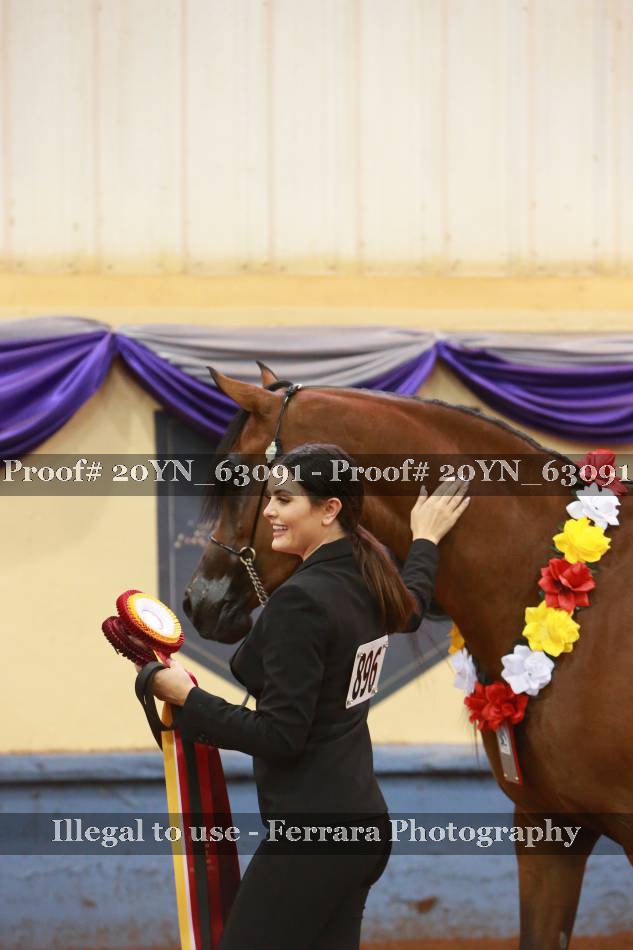 Proof 20YN_63091