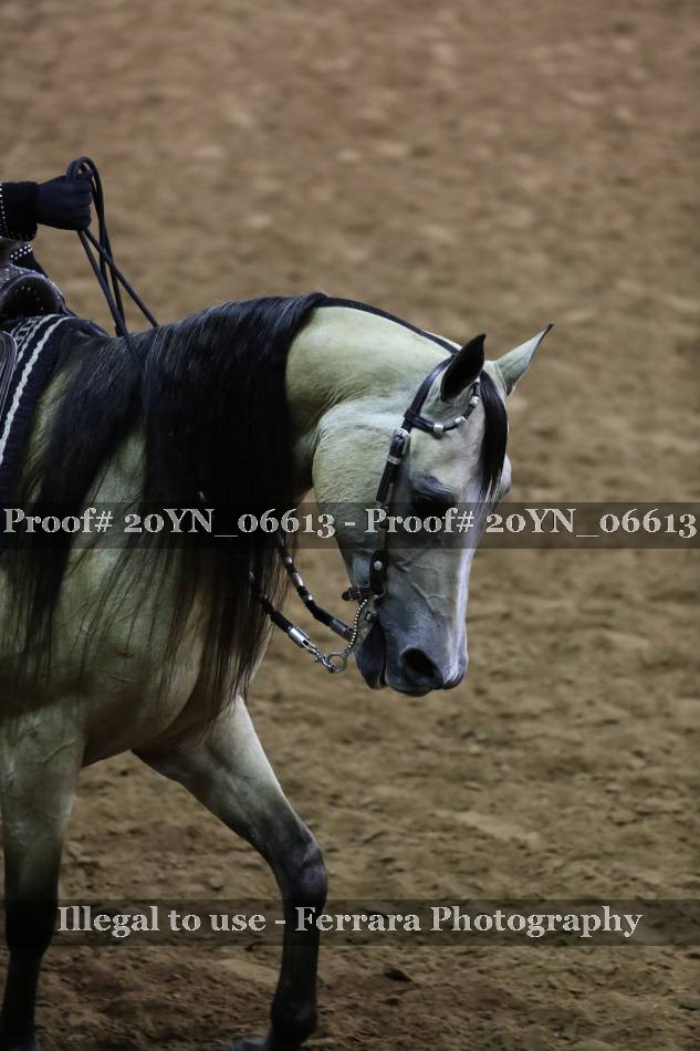 Proof 20YN_06613