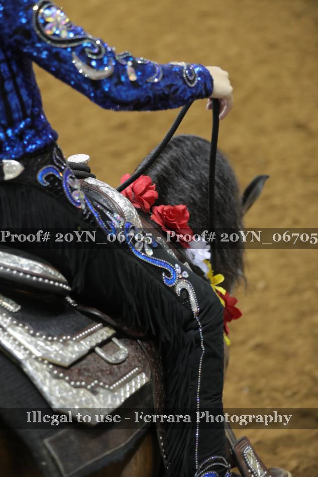 Proof 20YN_06705