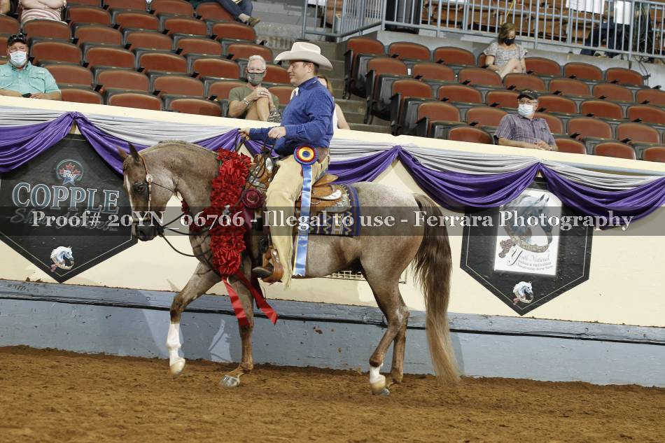 Proof 20YN_06706