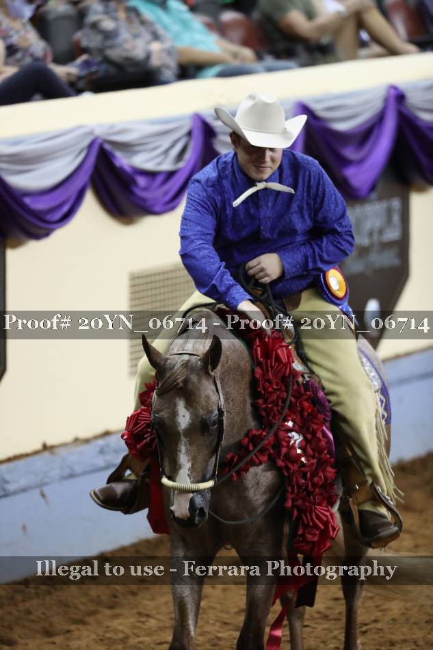 Proof 20YN_06714