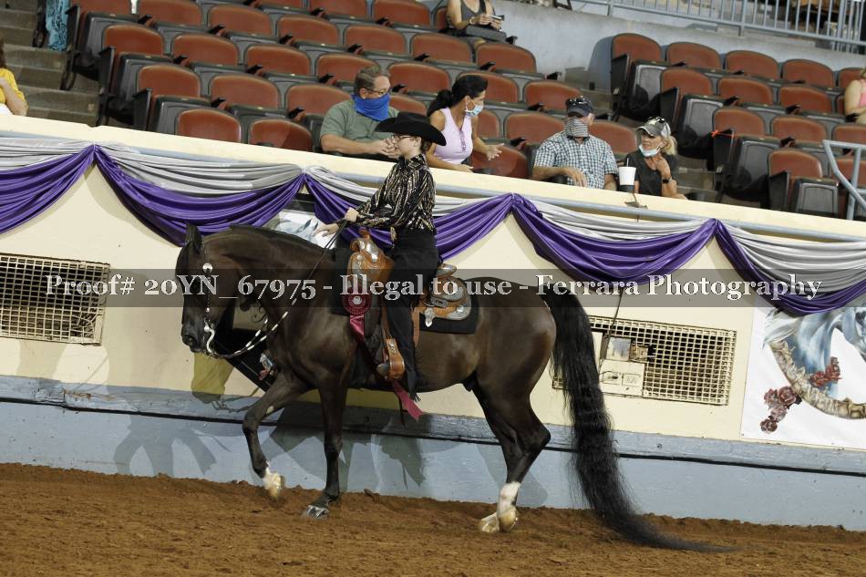 Proof 20YN_67975