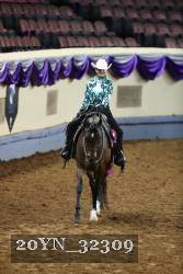 20YN_32309 proof