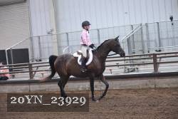 20YN_23929 proof