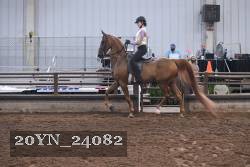 20YN_24082 proof