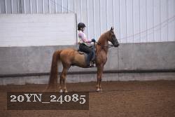 20YN_24085 proof