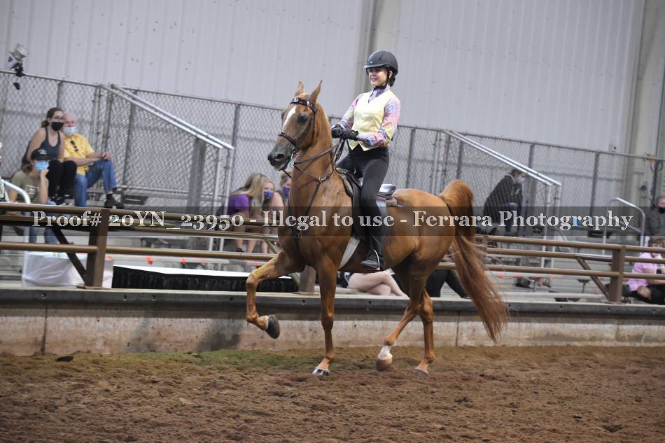 Proof 20YN_23950