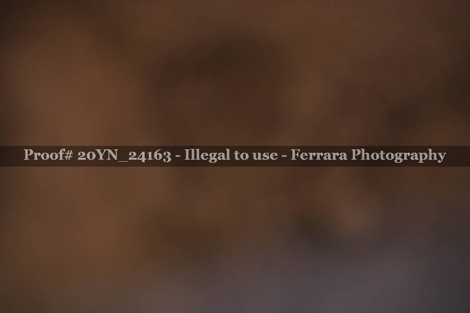 Proof 20YN_24163