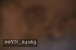 20YN_24163 proof