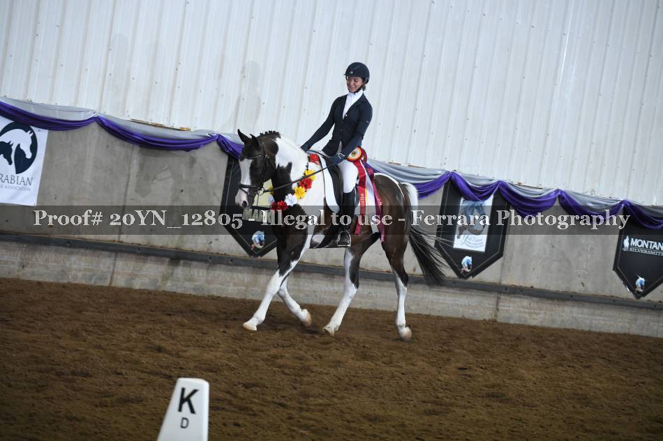 Proof 20YN_12805