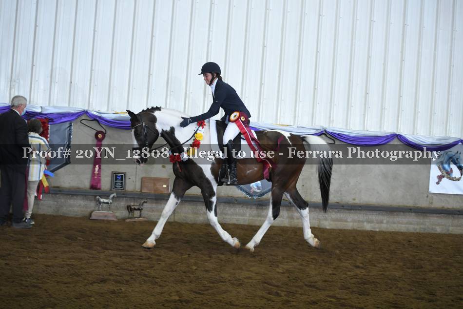Proof 20YN_12808