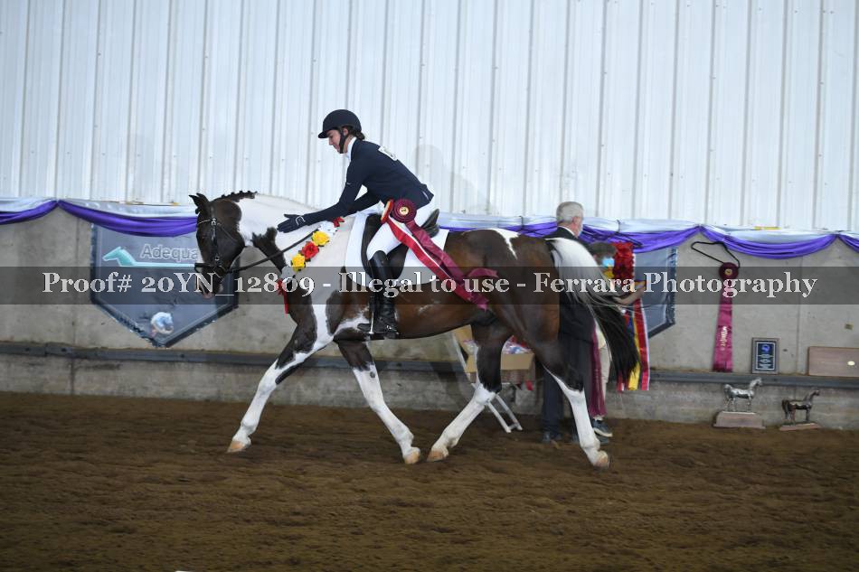 Proof 20YN_12809
