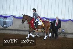 20YN_12877 proof