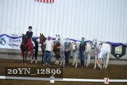 20YN_12896 proof